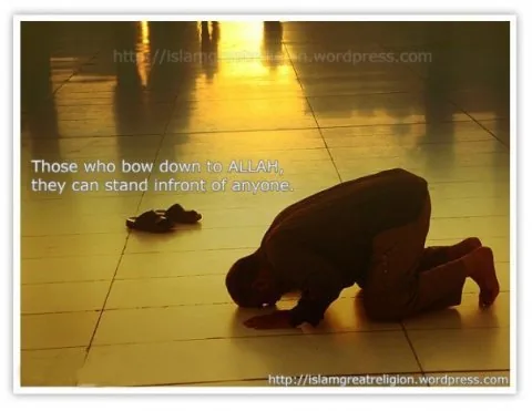 Stay Connected with ALLAH