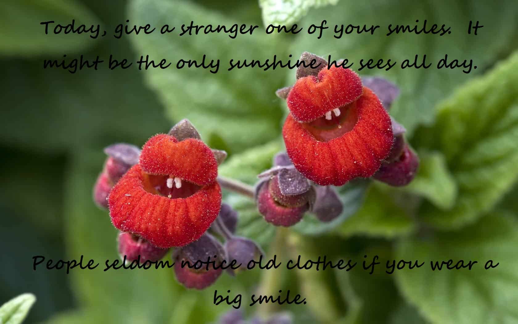 smile therapy, smile, smiling, always smile