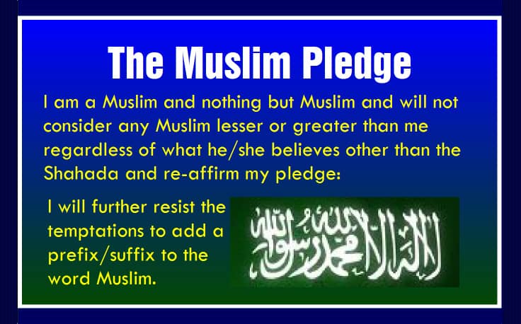 Sects in Islam, sects, Muslim Ummah, sects among Muslim, muslim Unity, No religious grouping is allowed in Islam