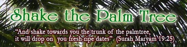 DATES As A Medicine : An Islamic Perspective