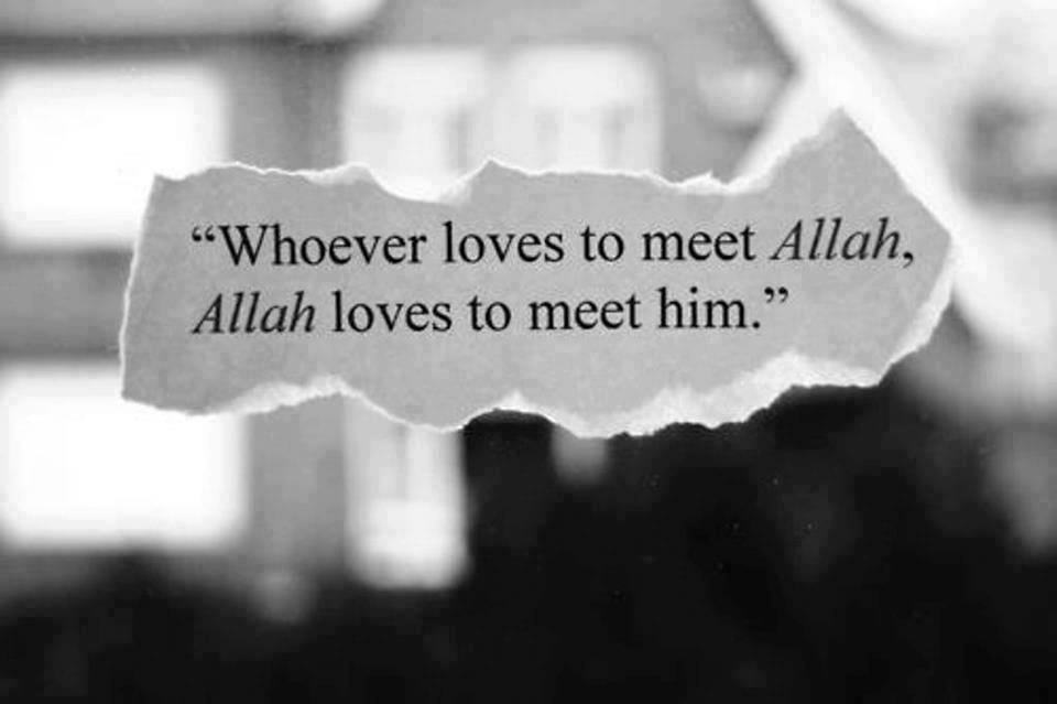 love of ALLAH