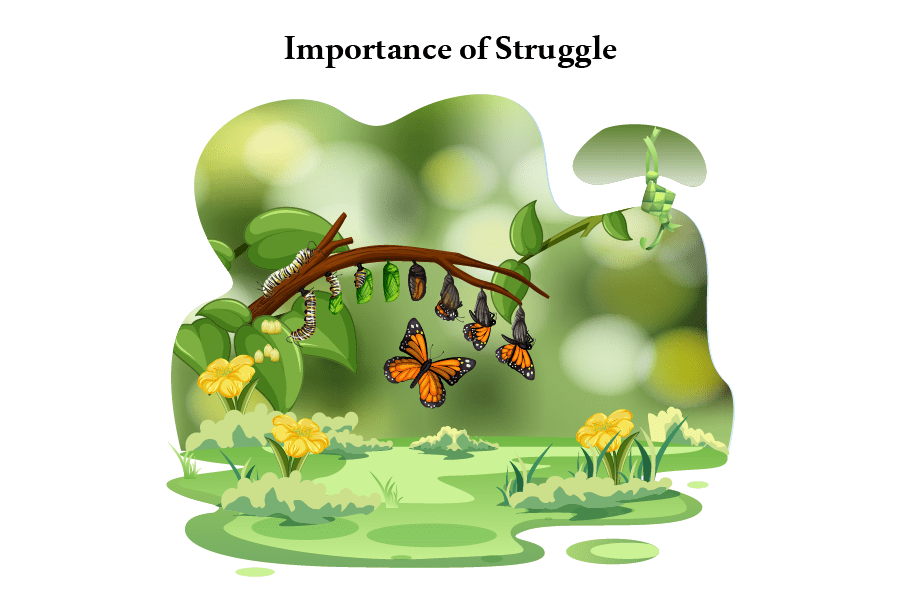Importance of Struggle