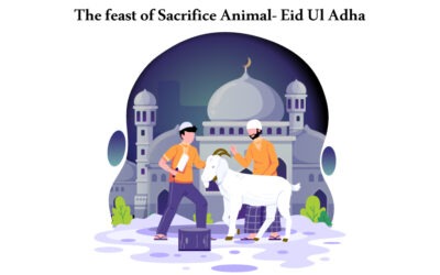 The feast of Sacrifice Animal – Eid Al Adha